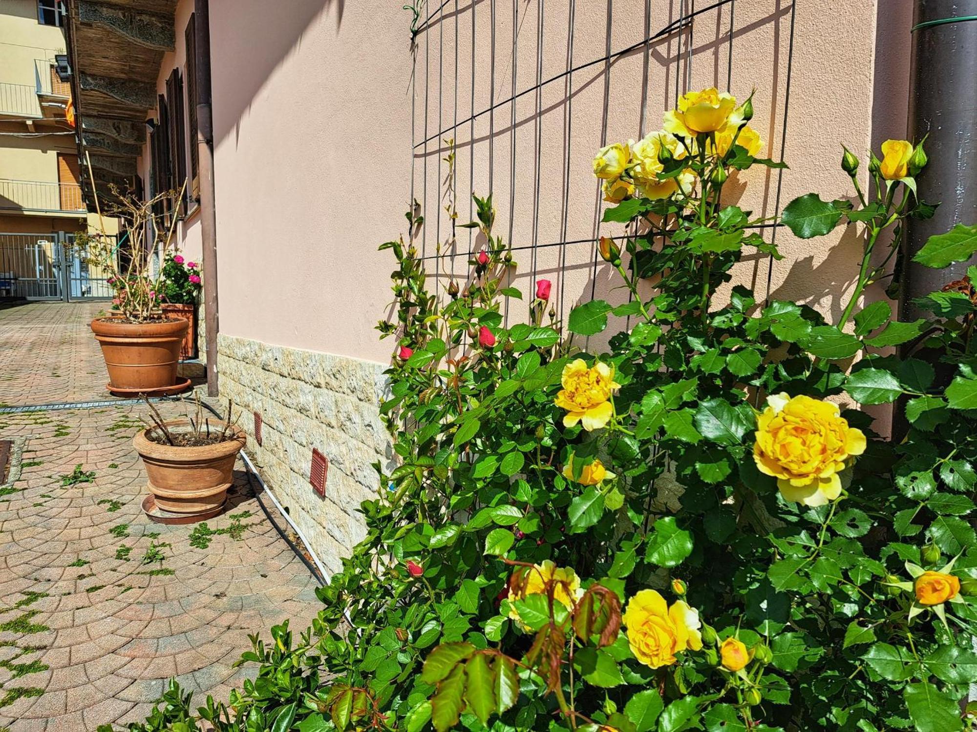 Le Rose Sul Lago Pescate Exterior foto