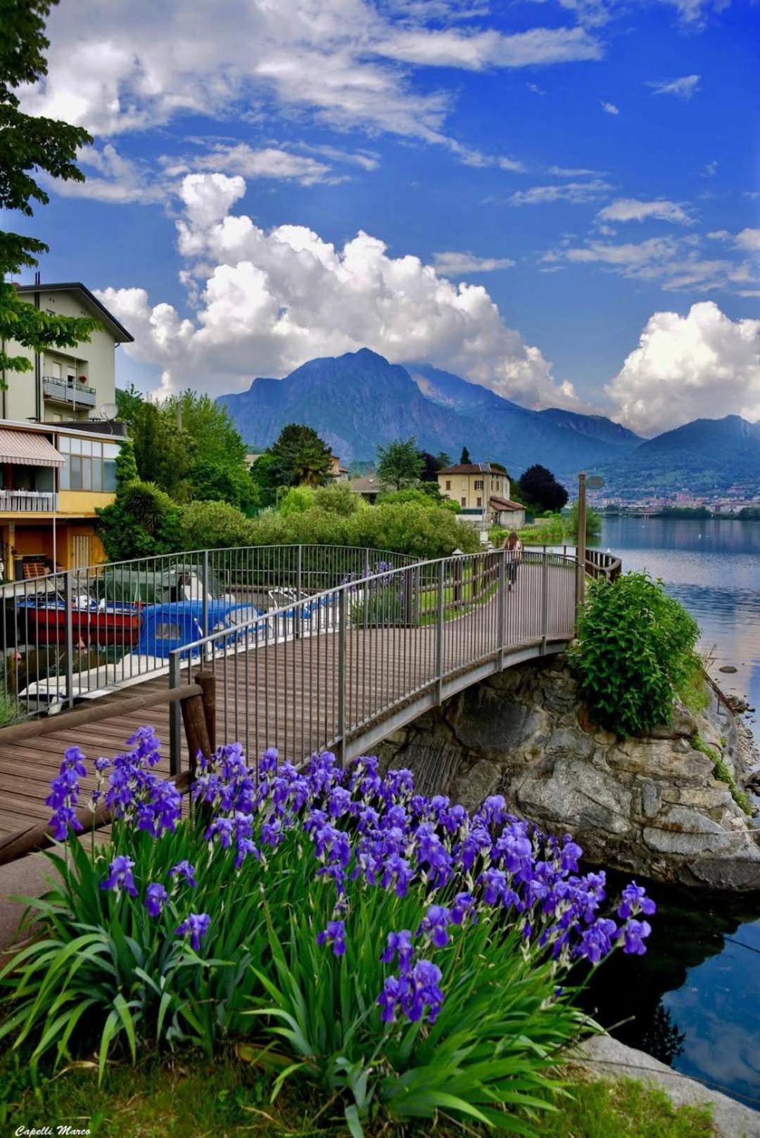 Le Rose Sul Lago Pescate Exterior foto