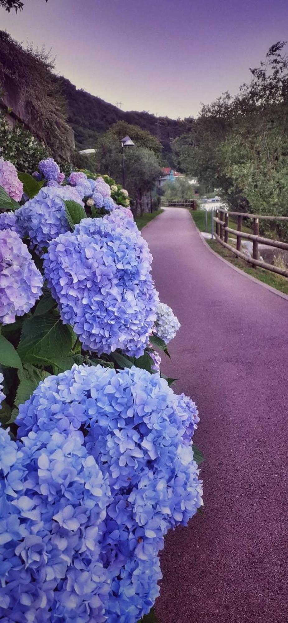 Le Rose Sul Lago Pescate Exterior foto